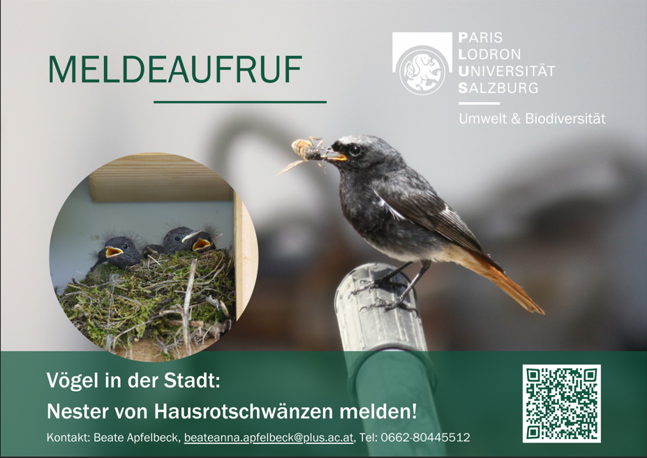 Meldeaufruf