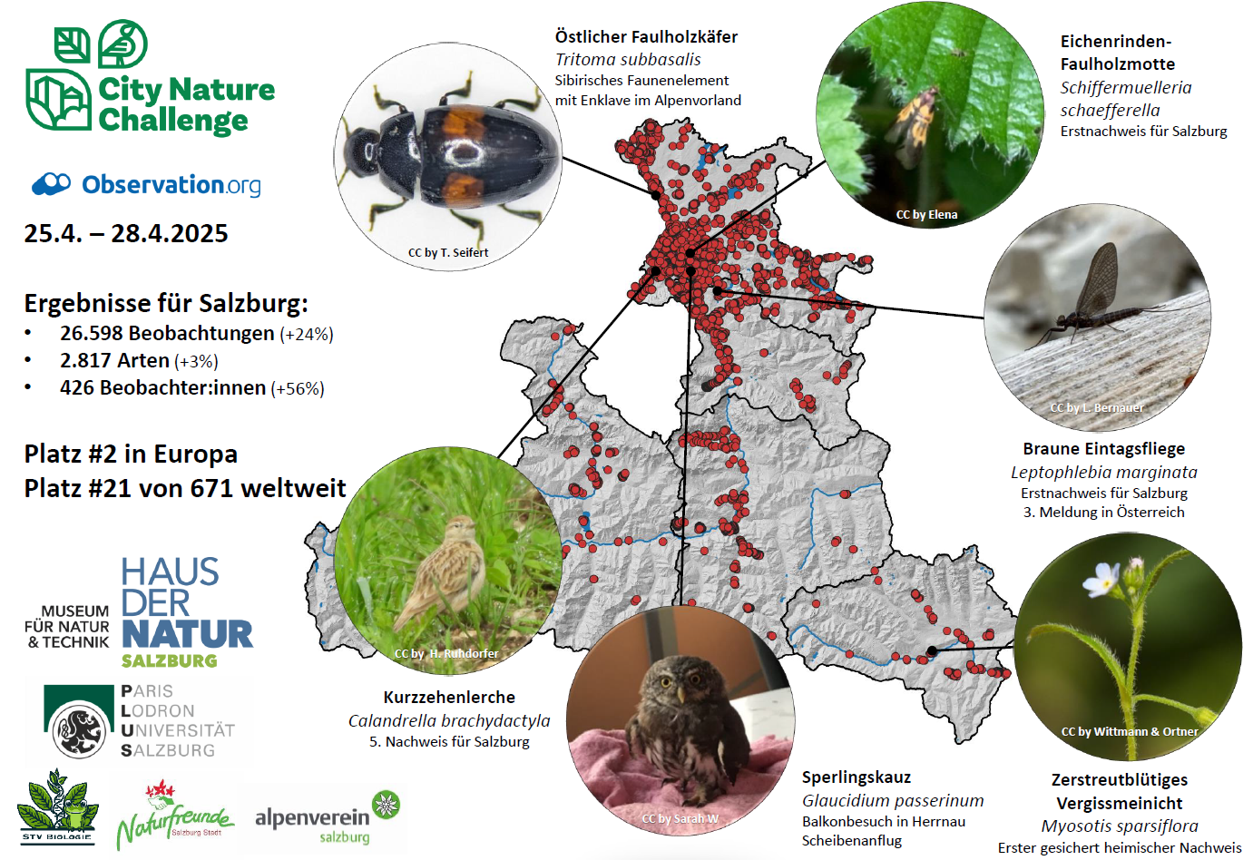 City Nature Challenge